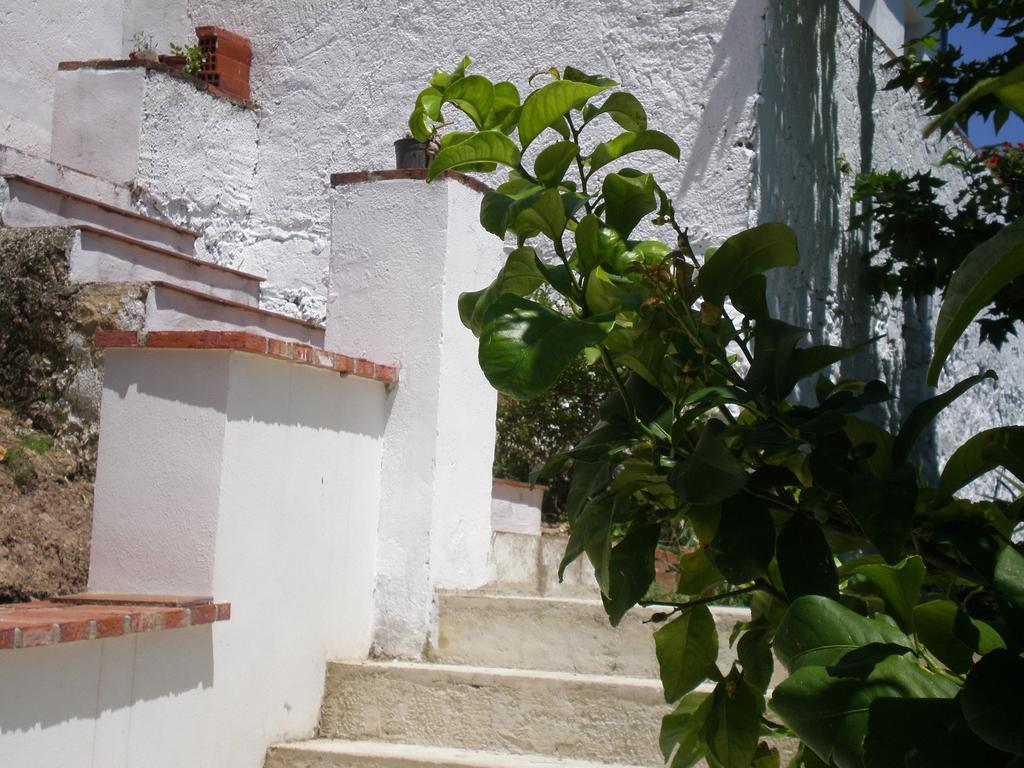 Apartamentos Rurales El Canuelo De Carcabuey Szoba fotó